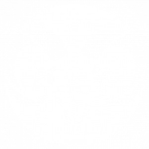 R.A.M. HCG Healthcare Consulting Group